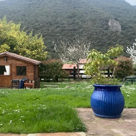 Excepcional Casa El Olivo Ojedo