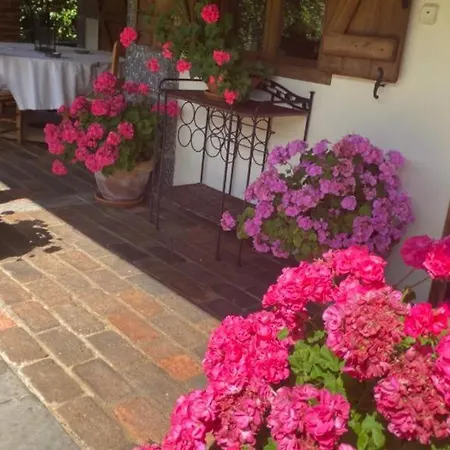 Casa El Olivo Ferienhaus *