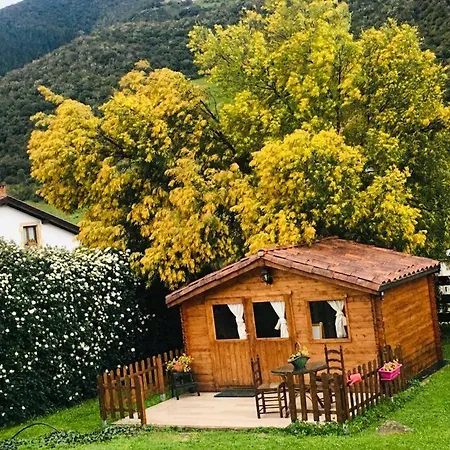 Casa El Olivo * Ojedo