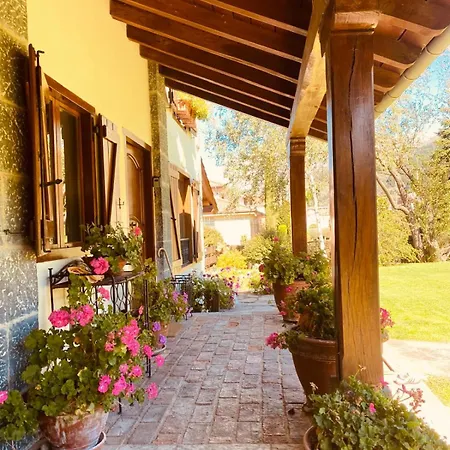 Excepcional Casa El Olivo