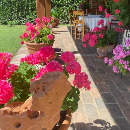 Holiday home Casa El Olivo